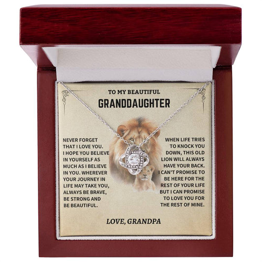 Granddaughter Gift- Never Forget That I Love You- From Grandpa