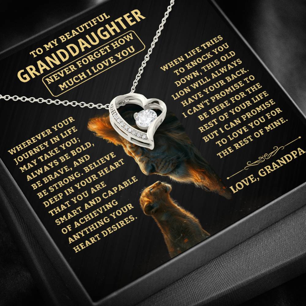 Gift For Granddaughter From Grandpa, "Never Forget How Much I Love You," Forever Love Necklace