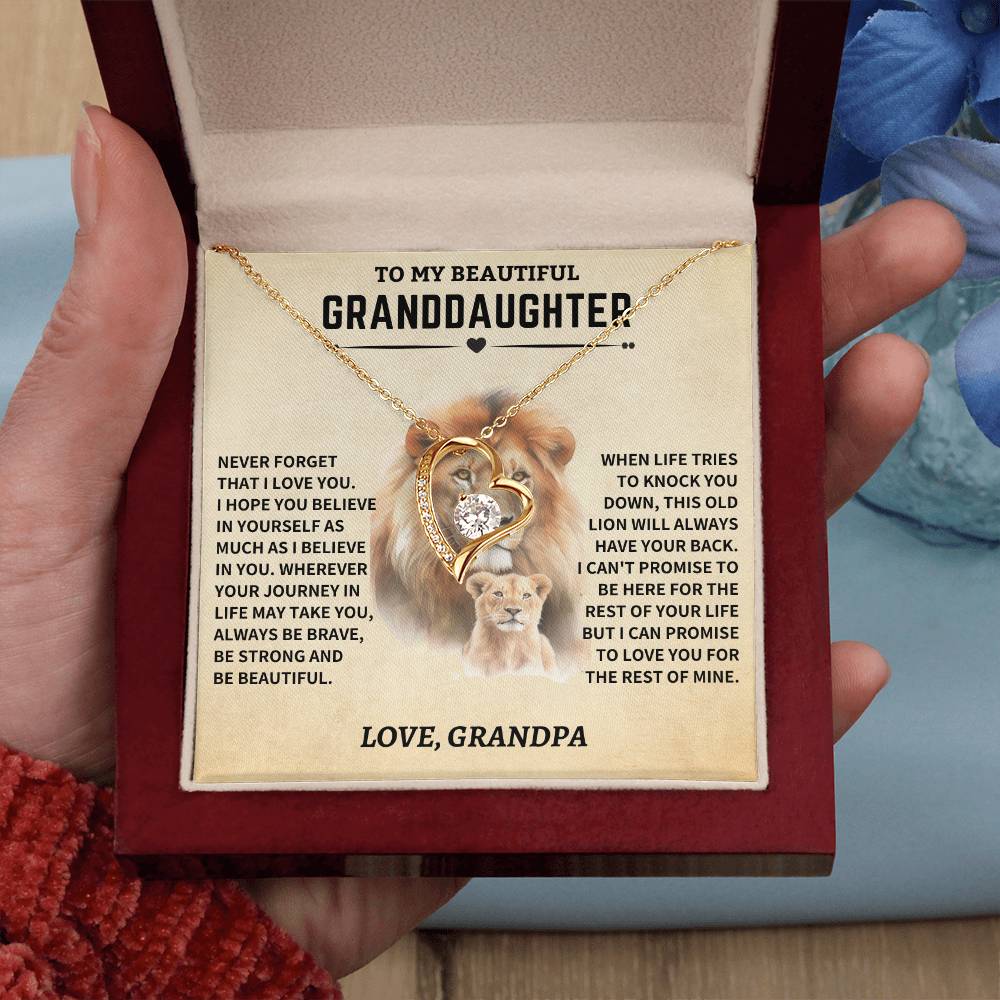 Granddaughter Gift- From Grandpa- Old Lion