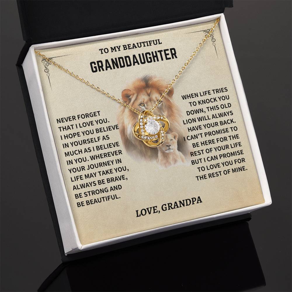 Gift For Granddaughter From Grandpa, "Never Forget How Much I Love You," Necklace