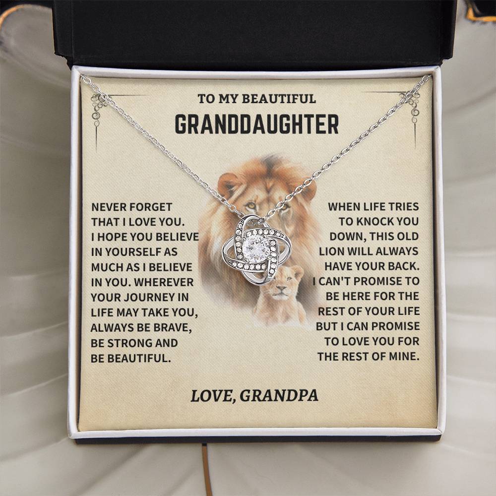Granddaughter Gift- Never Forget That I Love You- From Grandpa