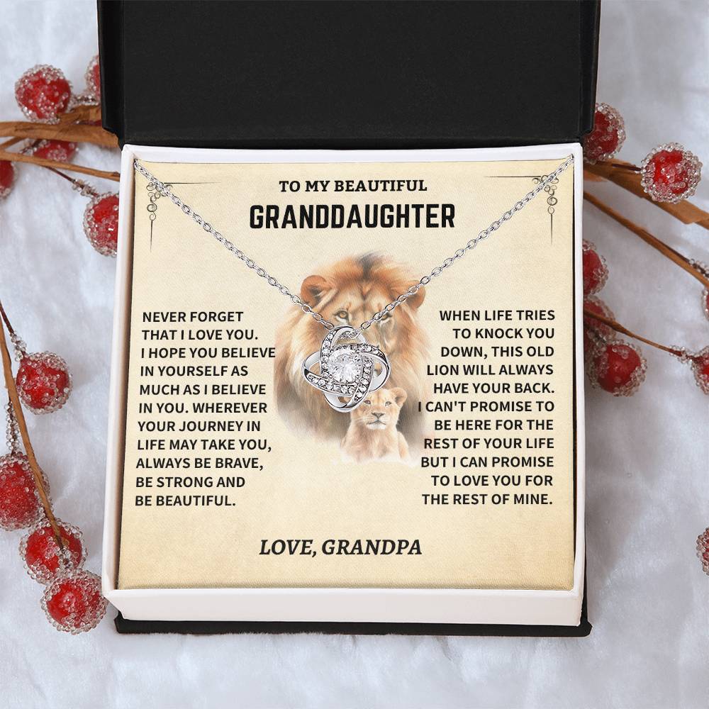Granddaughter Gift- Never Forget That I Love You- From Grandpa