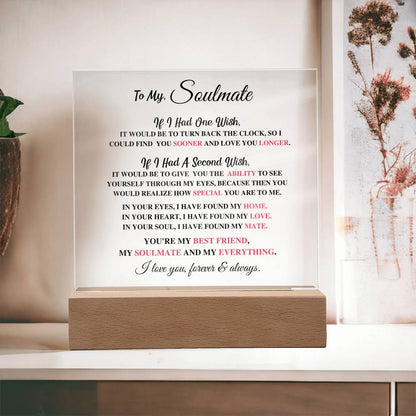 Soulmate Gift- My Everything- Acrylic Plaque
