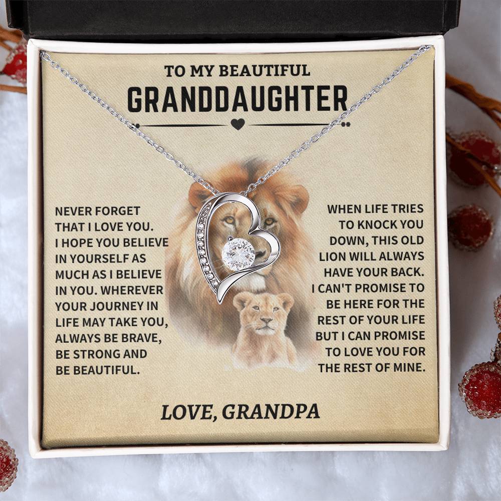 Granddaughter Gift- From Grandpa- Old Lion