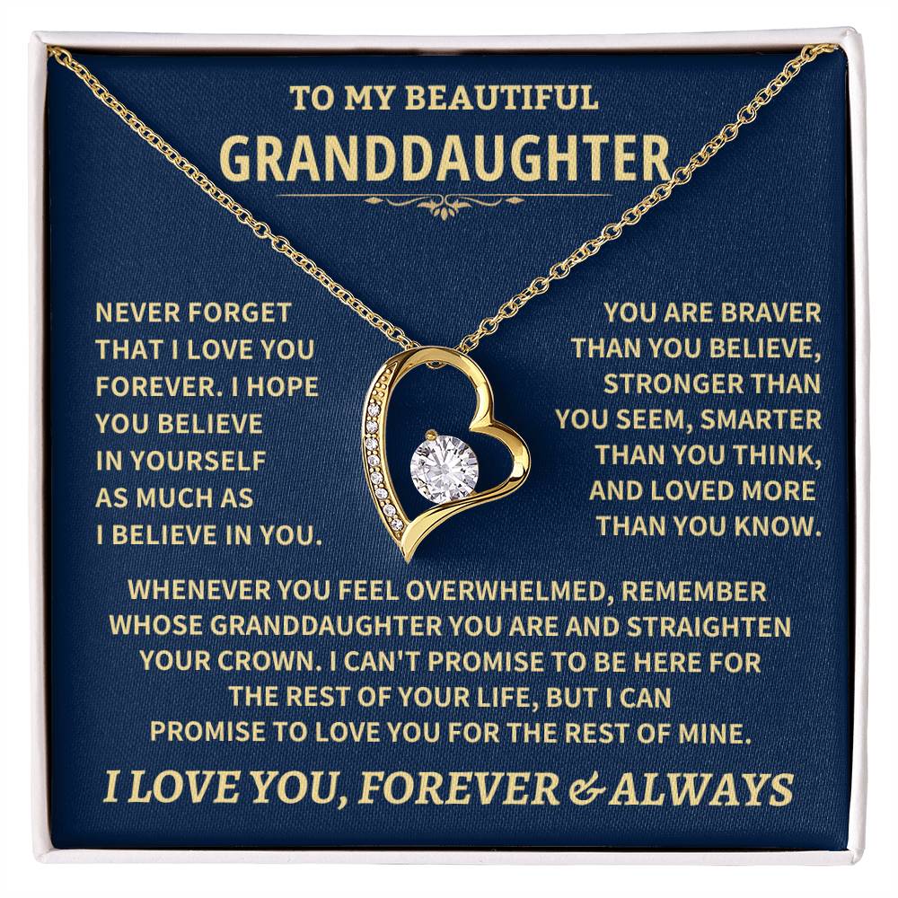 Granddaughter Gift-Never Forget