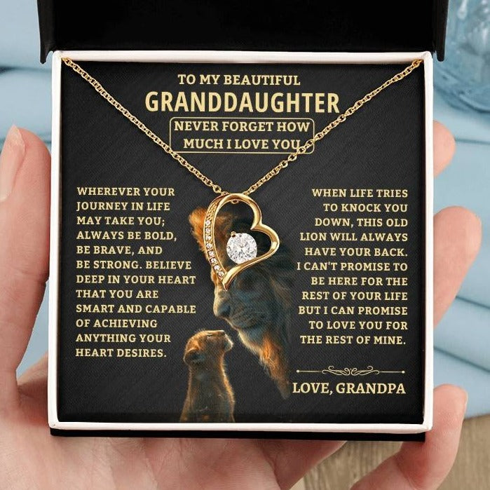 Gift For Granddaughter From Grandpa, "Never Forget How Much I Love You," Forever Love Necklace