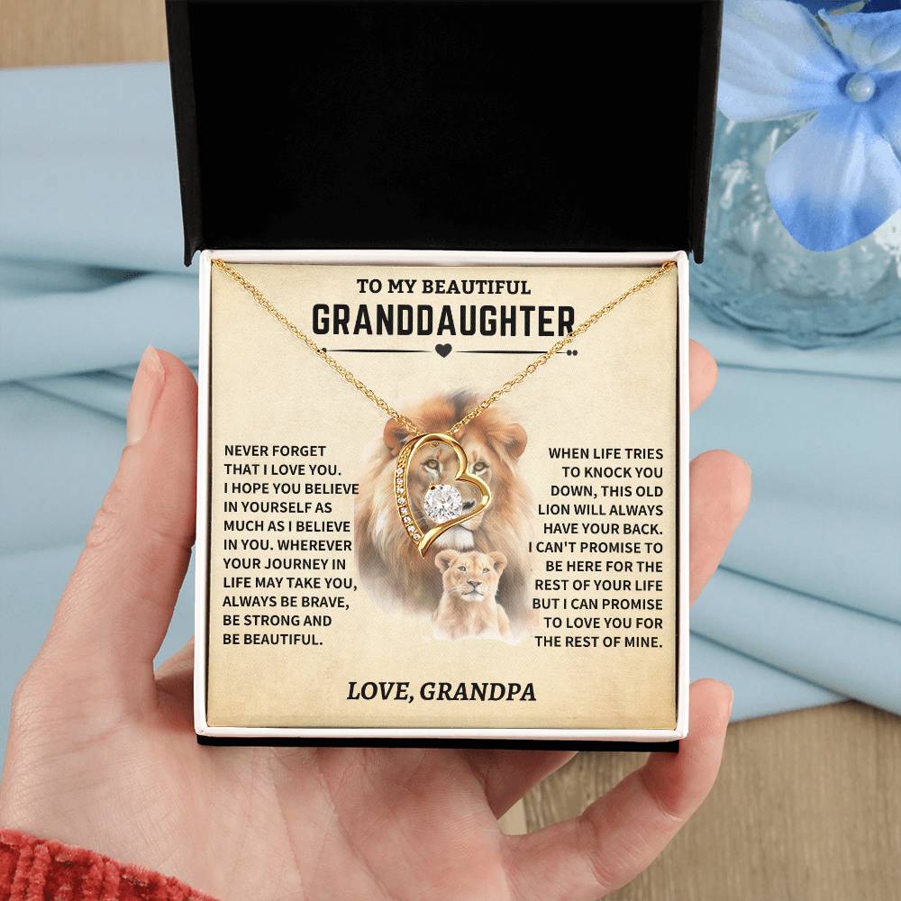 Granddaughter Gift- From Grandpa- Old Lion