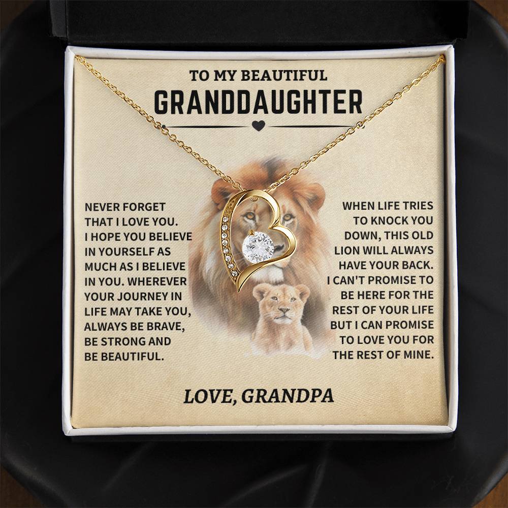 Granddaughter Gift- From Grandpa- Old Lion